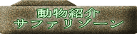 動物紹介 サファリゾーン