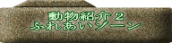 動物紹介２ ふれあいゾーン