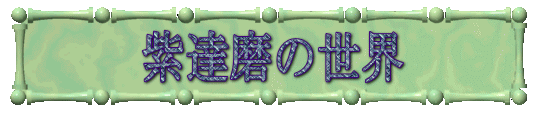 紫達磨の世界